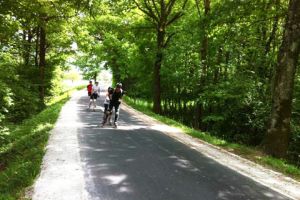 chemin vert 2.jpg