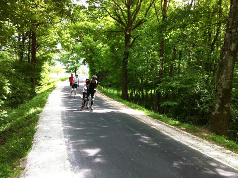 chemin vert 2.jpg