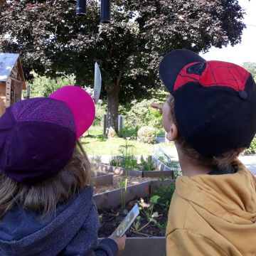 Quelques suggestions : que faire avec les enfants au Pays des 7 Rivières ?