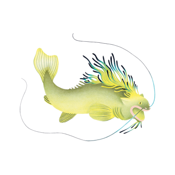 Le grand Châfo - partie 1