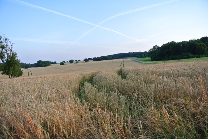 DSC_0557.JPG